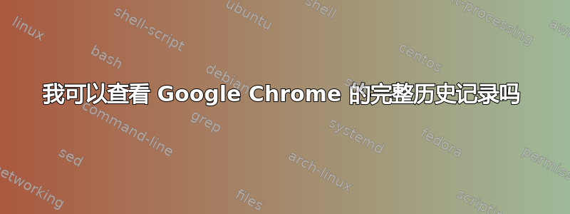 我可以查看 Google Chrome 的完整历史记录吗