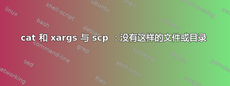 cat 和 xargs 与 scp ：没有这样的文件或目录