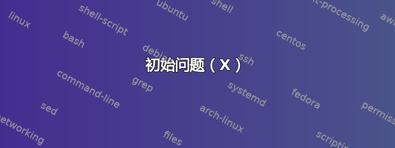 初始问题（X）