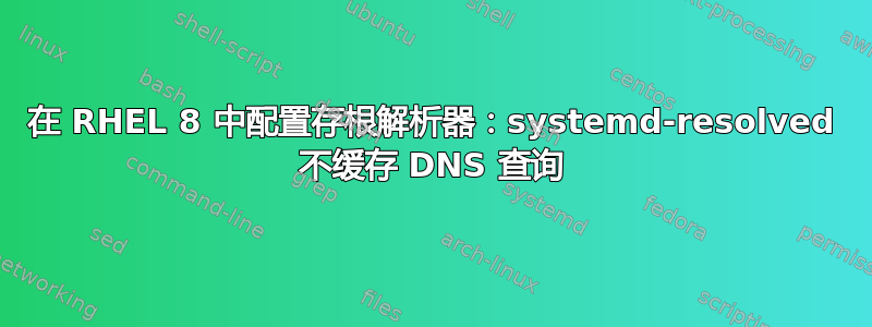 在 RHEL 8 中配置存根解析器：systemd-resolved 不缓存 DNS 查询