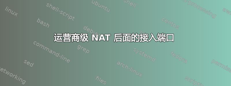 运营商级 NAT 后面的接入端口