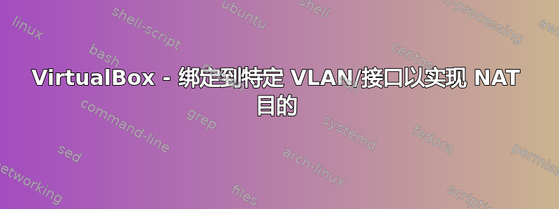 VirtualBox - 绑定到特定 VLAN/接口以实现 NAT 目的