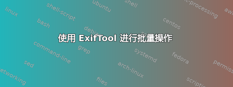 使用 ExifTool 进行批量操作