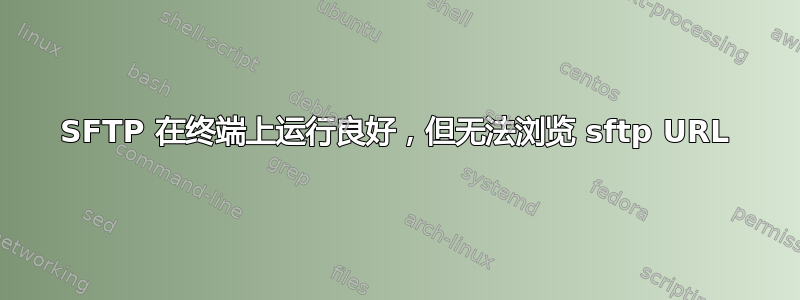 SFTP 在终端上运行良好，但无法浏览 sftp URL