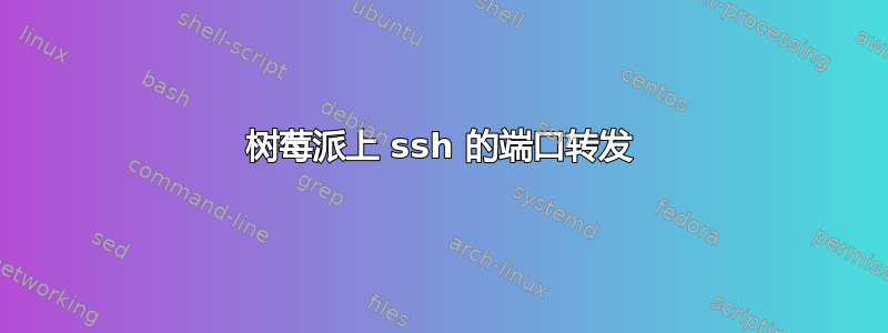 树莓派上 ssh 的端口转发