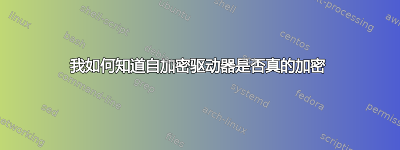 我如何知道自加密驱动器是否真的加密