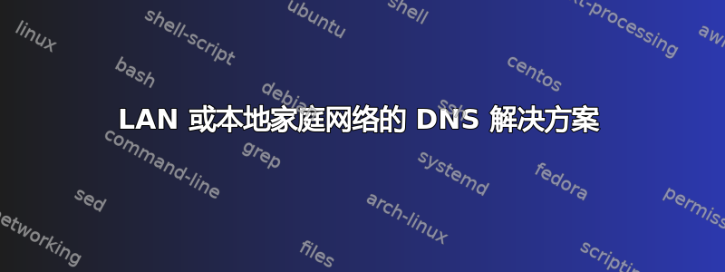 LAN 或本地家庭网络的 DNS 解决方案