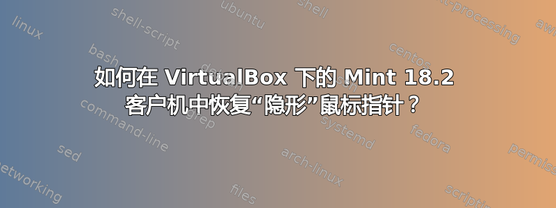 如何在 VirtualBox 下的 Mint 18.2 客户机中恢复“隐形”鼠标指针？