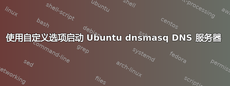 使用自定义选项启动 Ubuntu dnsmasq DNS 服务器