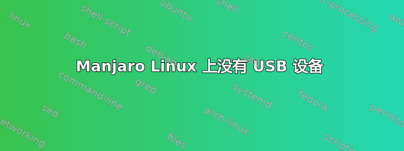 Manjaro Linux 上没有 USB 设备