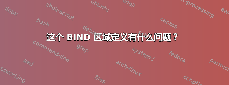 这个 BIND 区域定义有什么问题？