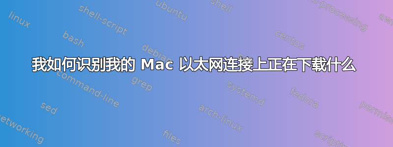 我如何识别我的 Mac 以太网连接上正在下载什么