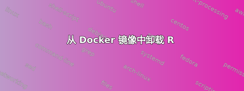 从 Docker 镜像中卸载 R