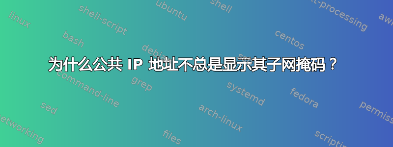 为什么公共 IP 地址不总是显示其子网掩码？