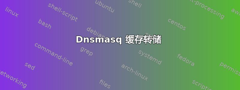 Dnsmasq 缓存转储