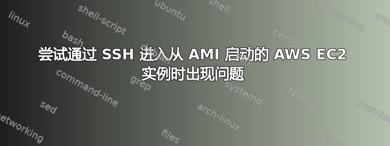 尝试通过 SSH 进入从 AMI 启动的 AWS EC2 实例时出现问题