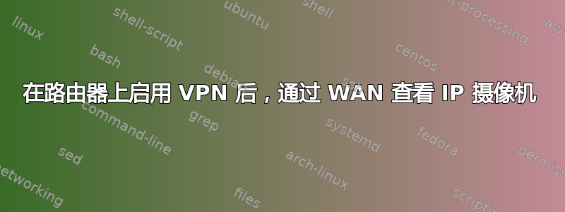 在路由器上启用 VPN 后，通过 WAN 查看 IP 摄像机