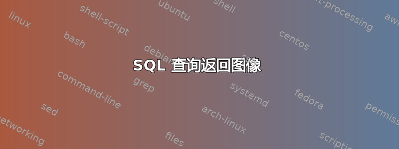 SQL 查询返回图像