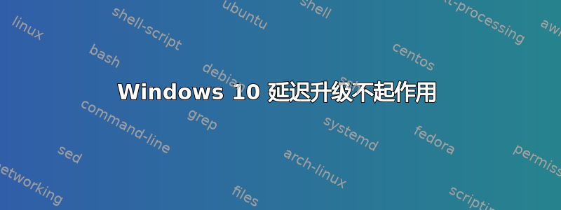 Windows 10 延迟升级不起作用