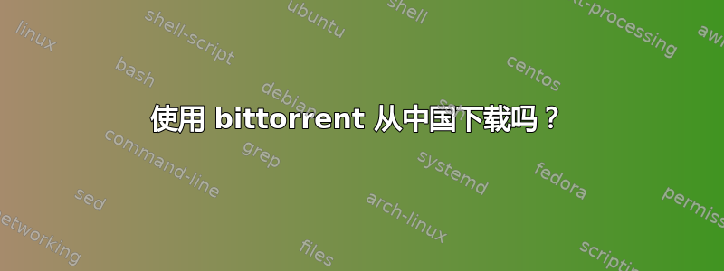 使用 bittorrent 从中国下载吗？