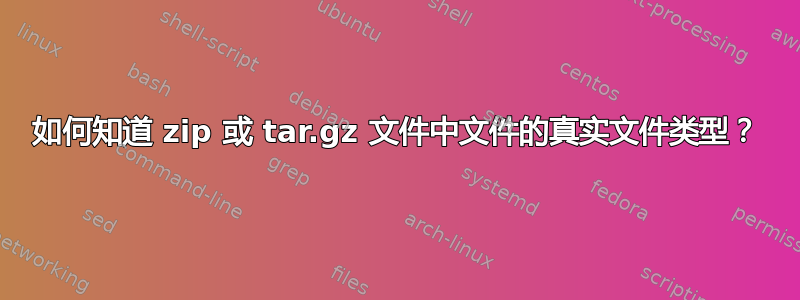 如何知道 zip 或 tar.gz 文件中文件的真实文件类型？