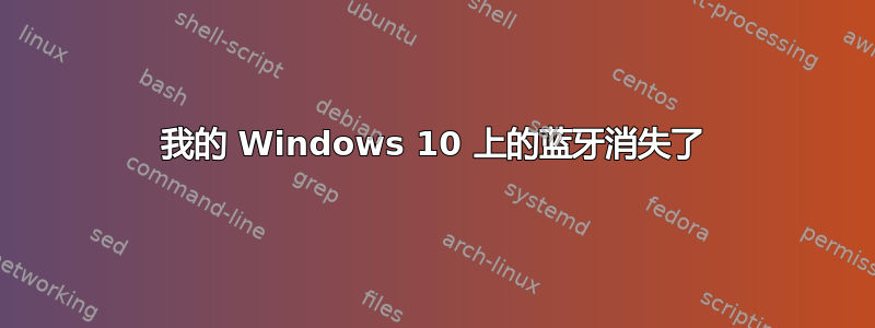 我的 Windows 10 上的蓝牙消失了