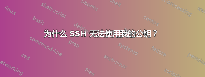 为什么 SSH 无法使用我的公钥？