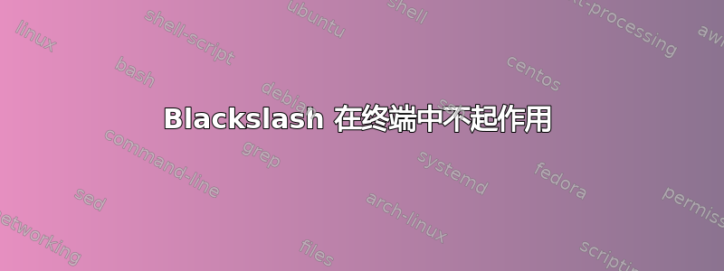 Blackslash 在终端中不起作用