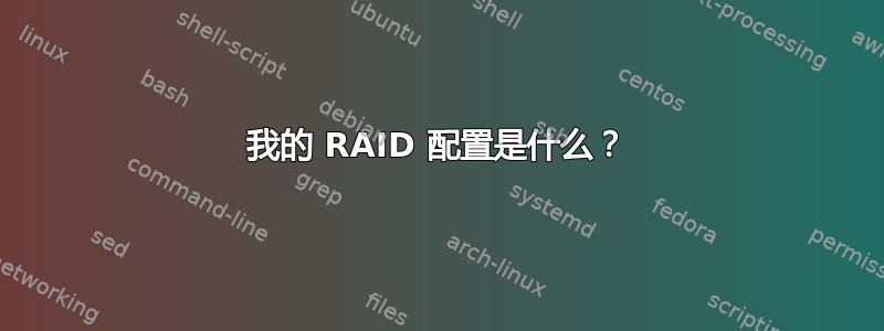 我的 RAID 配置是什么？