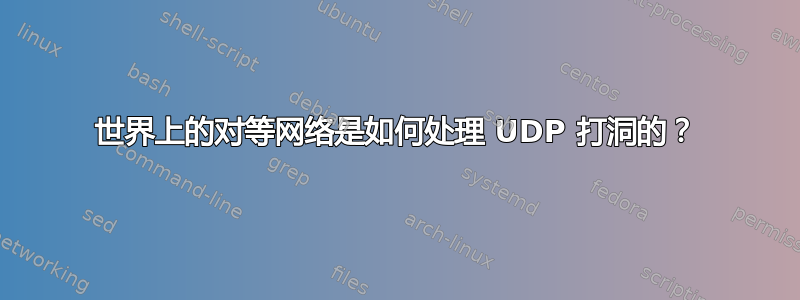 世界上的对等网络是如何处理 UDP 打洞的？