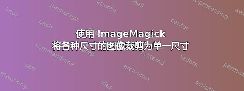 使用 ImageMagick 将各种尺寸的图像裁剪为单一尺寸