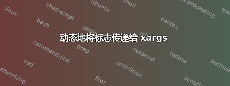 动态地将标志传递给 xargs