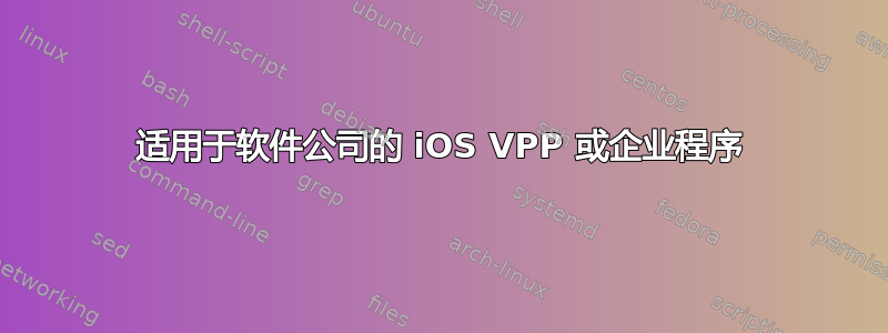 适用于软件公司的 iOS VPP 或企业程序