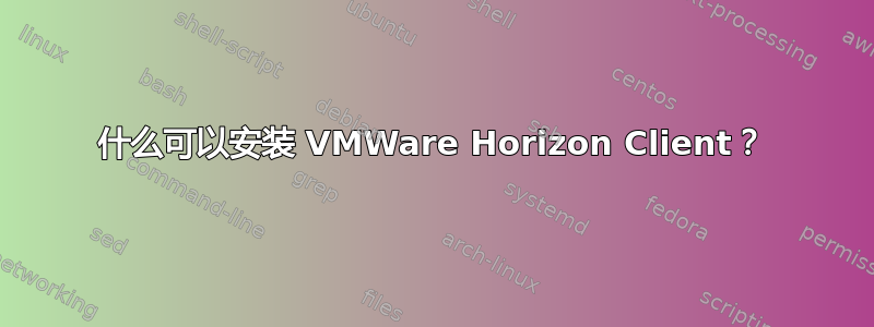 什么可以安装 VMWare Horizo​​n Client？