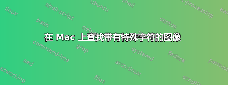 在 Mac 上查找带有特殊字符的图像