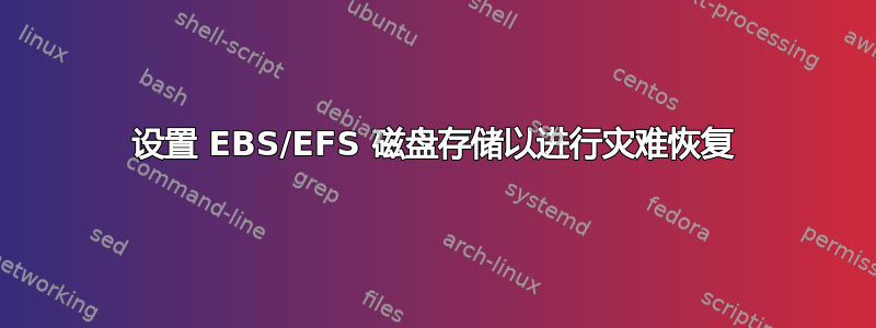 设置 EBS/EFS 磁盘存储以进行灾难恢复