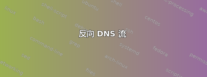 反向 DNS 流