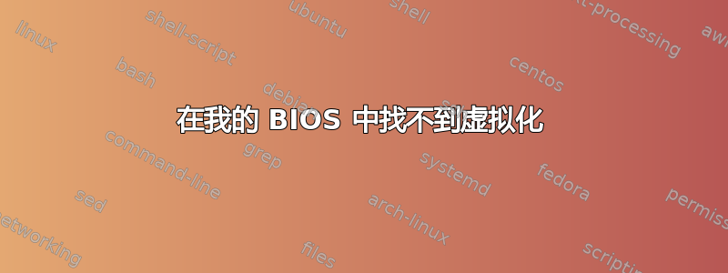 在我的 BIOS 中找不到虚拟化