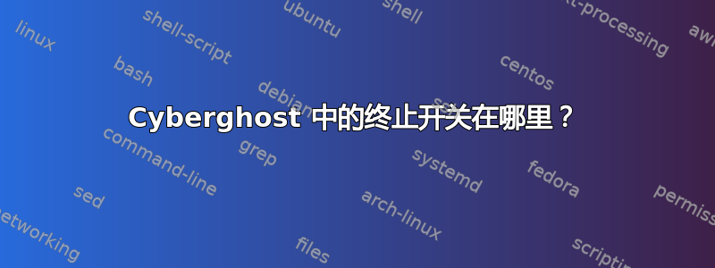 Cyber​​ghost 中的终止开关在哪里？