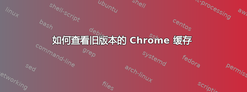 如何查看旧版本的 Chrome 缓存