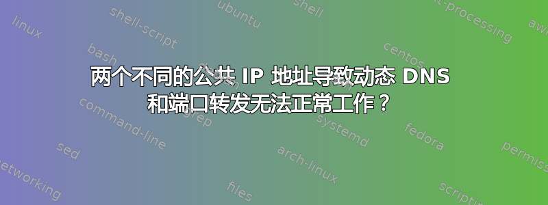 两个不同的公共 IP 地址导致动态 DNS 和端口转发无法正常工作？