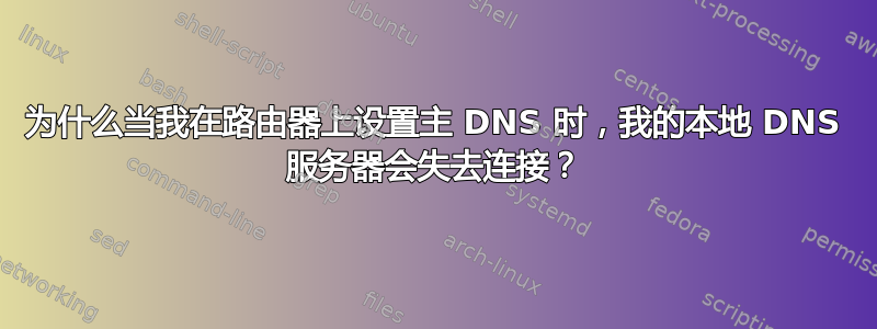 为什么当我在路由器上设置主 DNS 时，我的本地 DNS 服务器会失去连接？