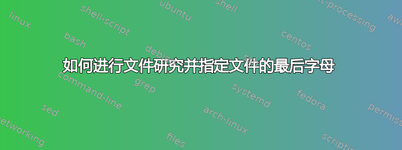 如何进行文件研究并指定文件的最后字母