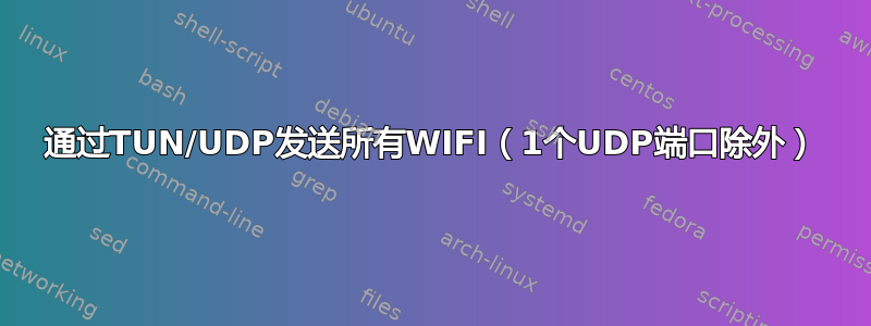 通过TUN/UDP发送所有WIFI（1个UDP端口除外）