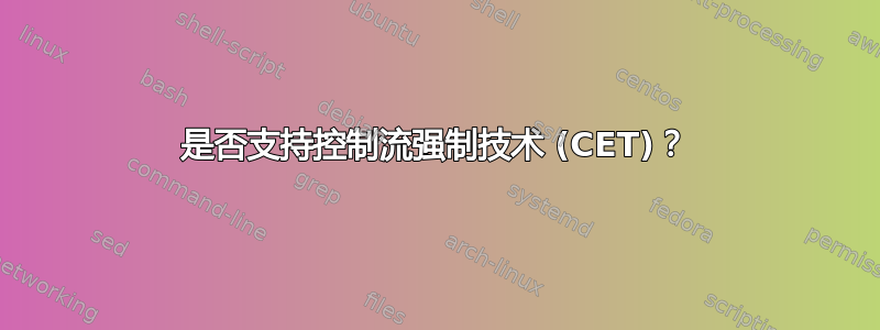 是否支持控制流强制技术 (CET)？