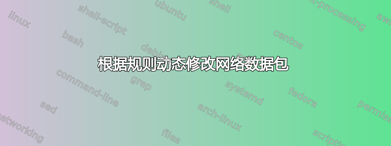 根据规则动态修改网络数据包