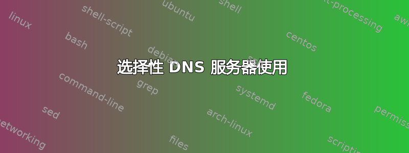 选择性 DNS 服务器使用