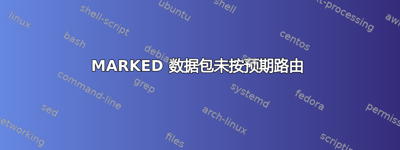 MARKED 数据包未按预期路由