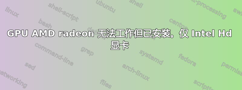 GPU AMD radeon 无法工作但已安装。仅 Intel Hd 显卡