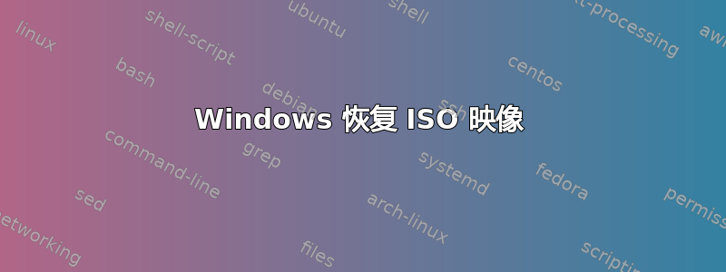 Windows 恢复 ISO 映像